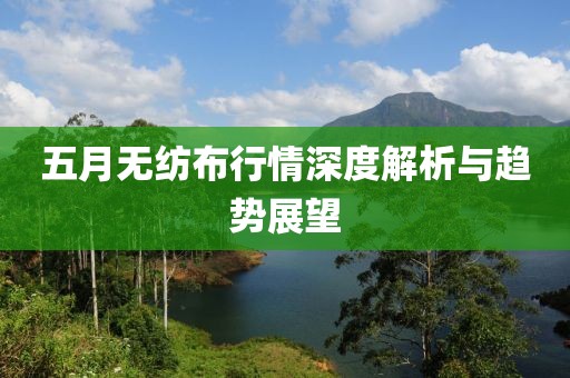 五月无纺布行情深度解析与趋势展望