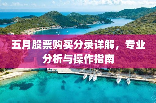 五月股票购买分录详解，专业分析与操作指南