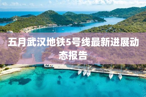 五月武汉地铁5号线最新进展动态报告