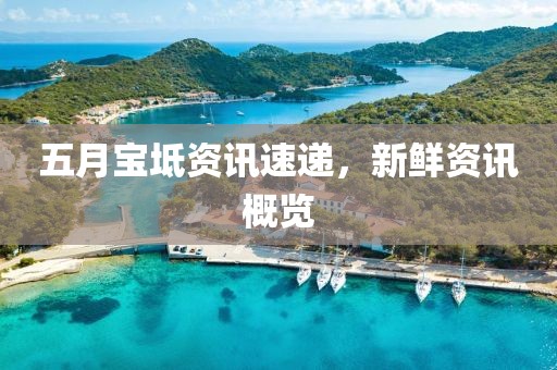 五月宝坻资讯速递，新鲜资讯概览