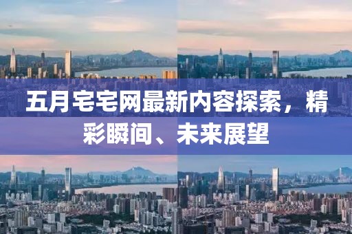 五月宅宅网最新内容探索，精彩瞬间、未来展望