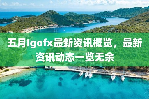 五月Igofx最新资讯概览，最新资讯动态一览无余