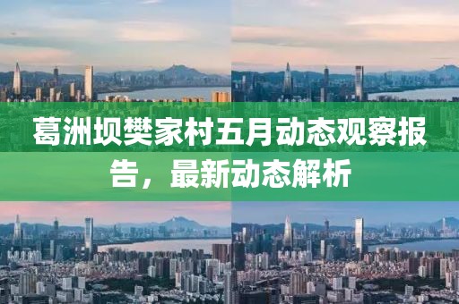 葛洲坝樊家村五月动态观察报告，最新动态解析