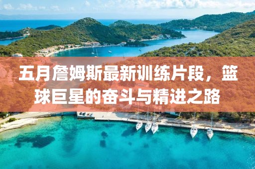 五月詹姆斯最新训练片段，篮球巨星的奋斗与精进之路