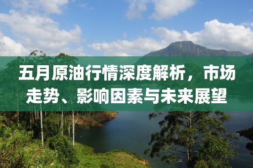 五月原油行情深度解析，市场走势、影响因素与未来展望