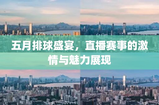 五月排球盛宴，直播赛事的激情与魅力展现