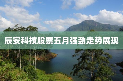 辰安科技股票五月强劲走势展现