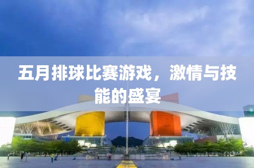 五月排球比赛游戏，激情与技能的盛宴