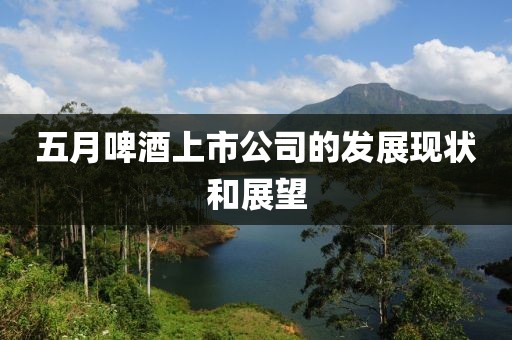 五月啤酒上市公司的发展现状和展望