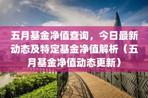 五月基金净值查询，今日最新动态及特定基金净值解析（五月基金净值动态更新）