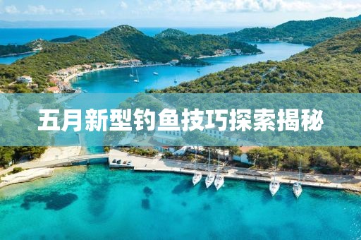 五月新型钓鱼技巧探索揭秘