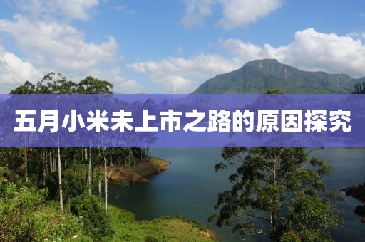 五月小米未上市之路的原因探究