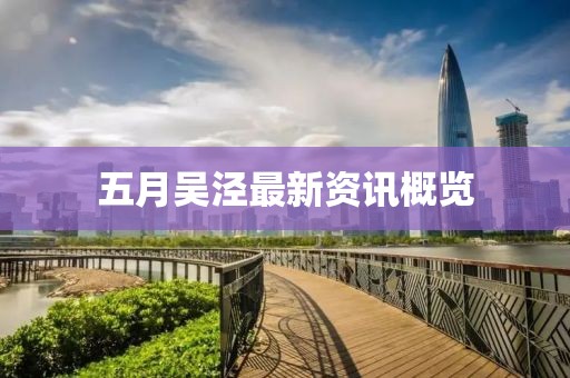 五月吴泾最新资讯概览