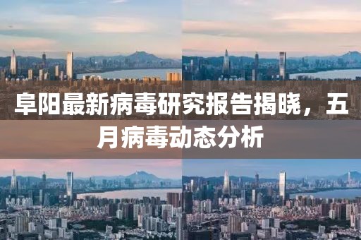 阜阳最新病毒研究报告揭晓，五月病毒动态分析