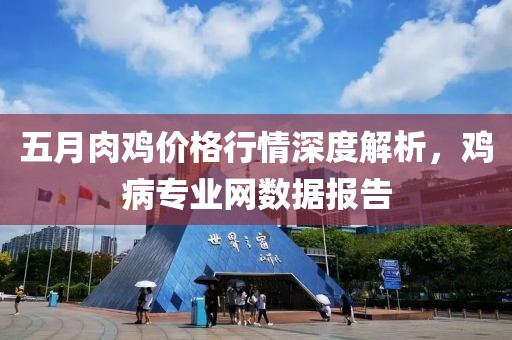 五月肉鸡价格行情深度解析，鸡病专业网数据报告