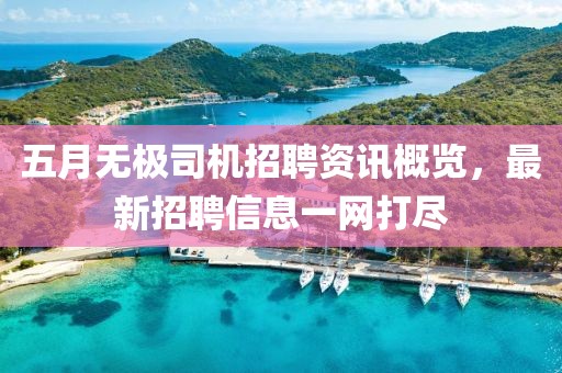 五月无极司机招聘资讯概览，最新招聘信息一网打尽