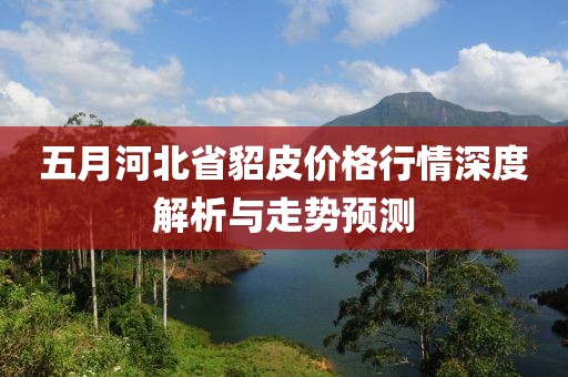 五月河北省貂皮价格行情深度解析与走势预测