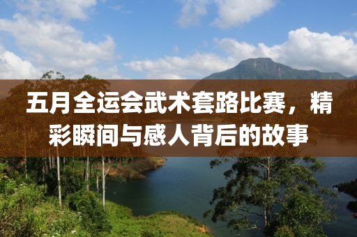 五月全运会武术套路比赛，精彩瞬间与感人背后的故事