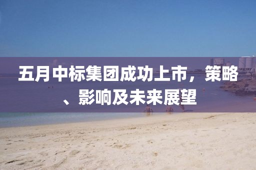 五月中标集团成功上市，策略、影响及未来展望