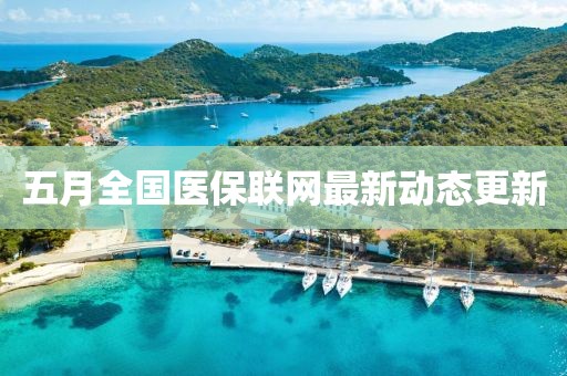 五月全国医保联网最新动态更新