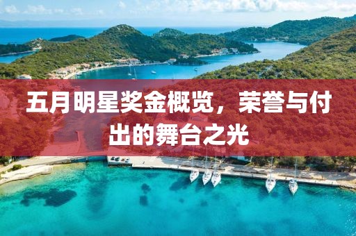 五月明星奖金概览，荣誉与付出的舞台之光