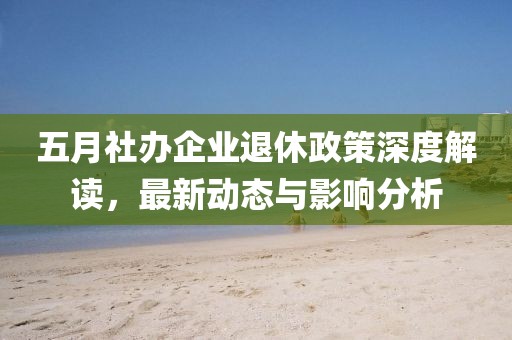 五月社办企业退休政策深度解读，最新动态与影响分析