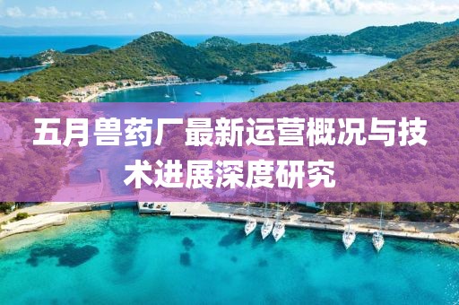 五月兽药厂最新运营概况与技术进展深度研究