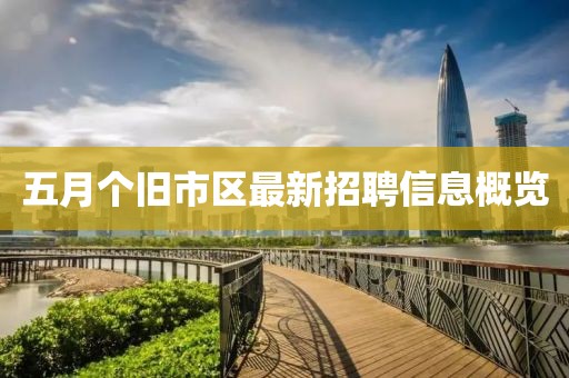 五月个旧市区最新招聘信息概览