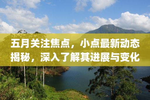五月关注焦点，小点最新动态揭秘，深入了解其进展与变化