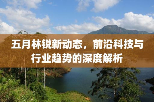 五月林锐新动态，前沿科技与行业趋势的深度解析