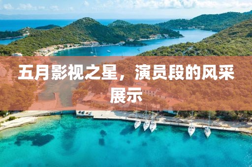 五月影视之星，演员段的风采展示