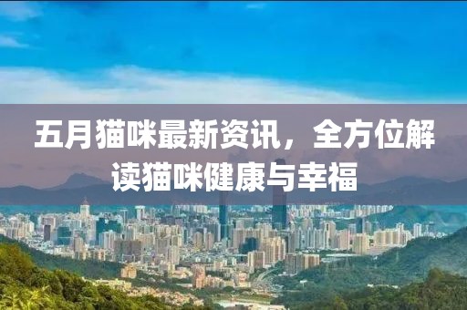 五月猫咪最新资讯，全方位解读猫咪健康与幸福