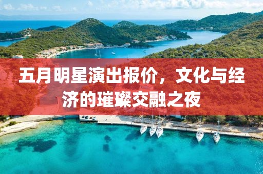 五月明星演出报价，文化与经济的璀璨交融之夜