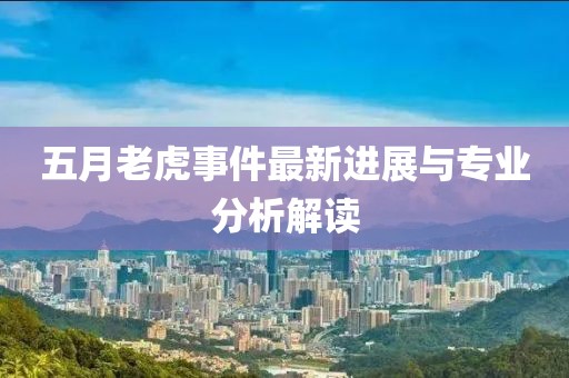 五月老虎事件最新进展与专业分析解读