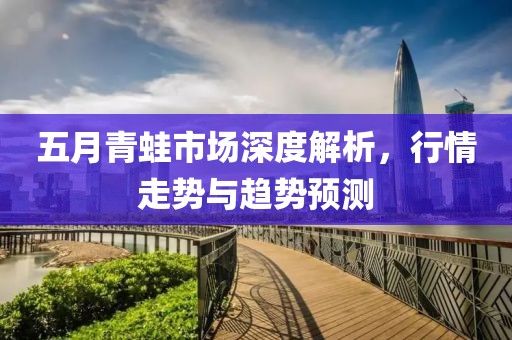 五月青蛙市场深度解析，行情走势与趋势预测