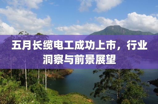 五月长缆电工成功上市，行业洞察与前景展望