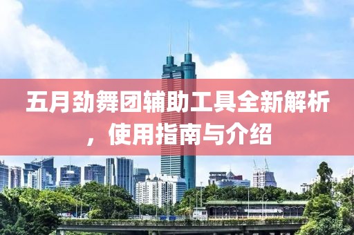 五月劲舞团辅助工具全新解析，使用指南与介绍