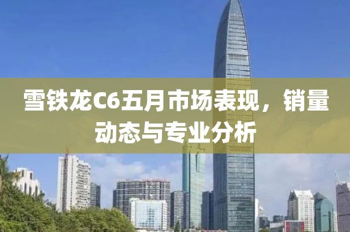 雪铁龙C6五月市场表现，销量动态与专业分析
