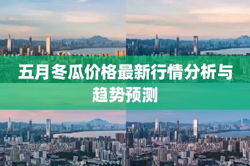 五月冬瓜价格最新行情分析与趋势预测