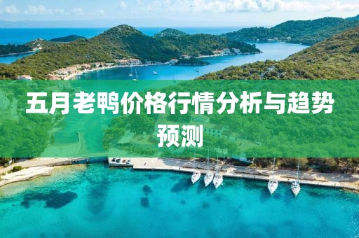 五月老鸭价格行情分析与趋势预测