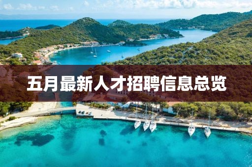 2025年6月4日 第5页