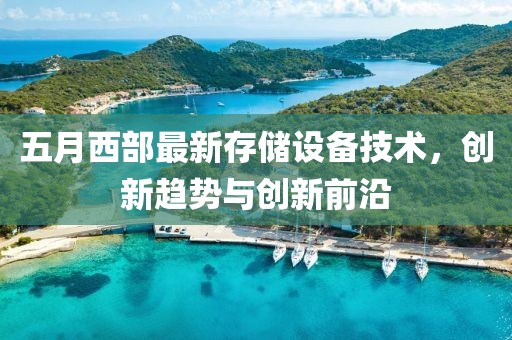 五月西部最新存储设备技术，创新趋势与创新前沿