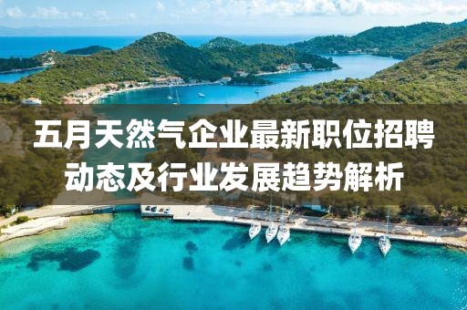 五月天然气企业最新职位招聘动态及行业发展趋势解析