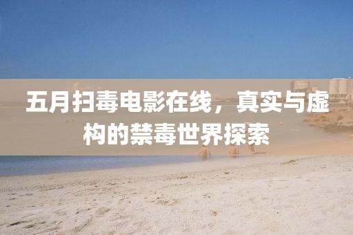 五月扫毒电影在线，真实与虚构的禁毒世界探索