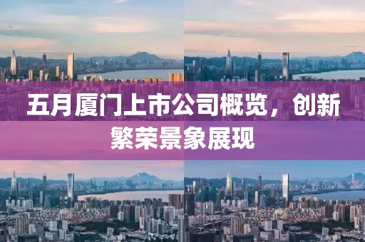五月厦门上市公司概览，创新繁荣景象展现