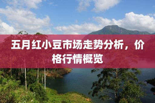 五月红小豆市场走势分析，价格行情概览