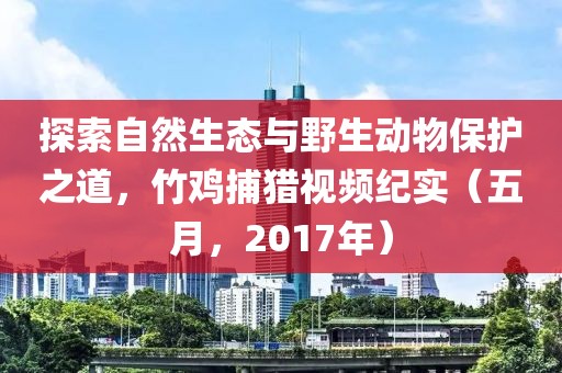 探索自然生态与野生动物保护之道，竹鸡捕猎视频纪实（五月，2017年）