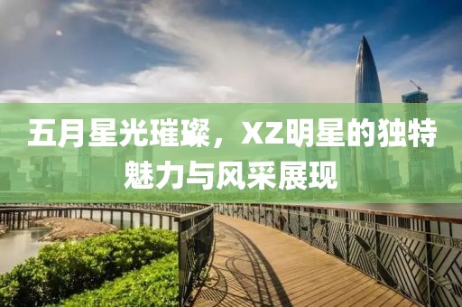 五月星光璀璨，XZ明星的独特魅力与风采展现