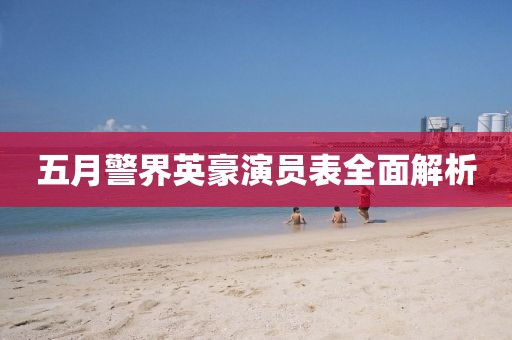五月警界英豪演员表全面解析