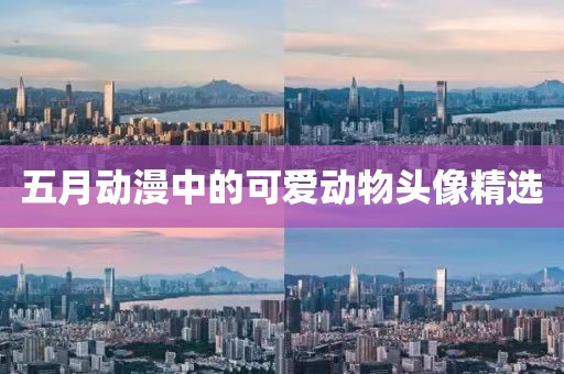 五月动漫中的可爱动物头像精选